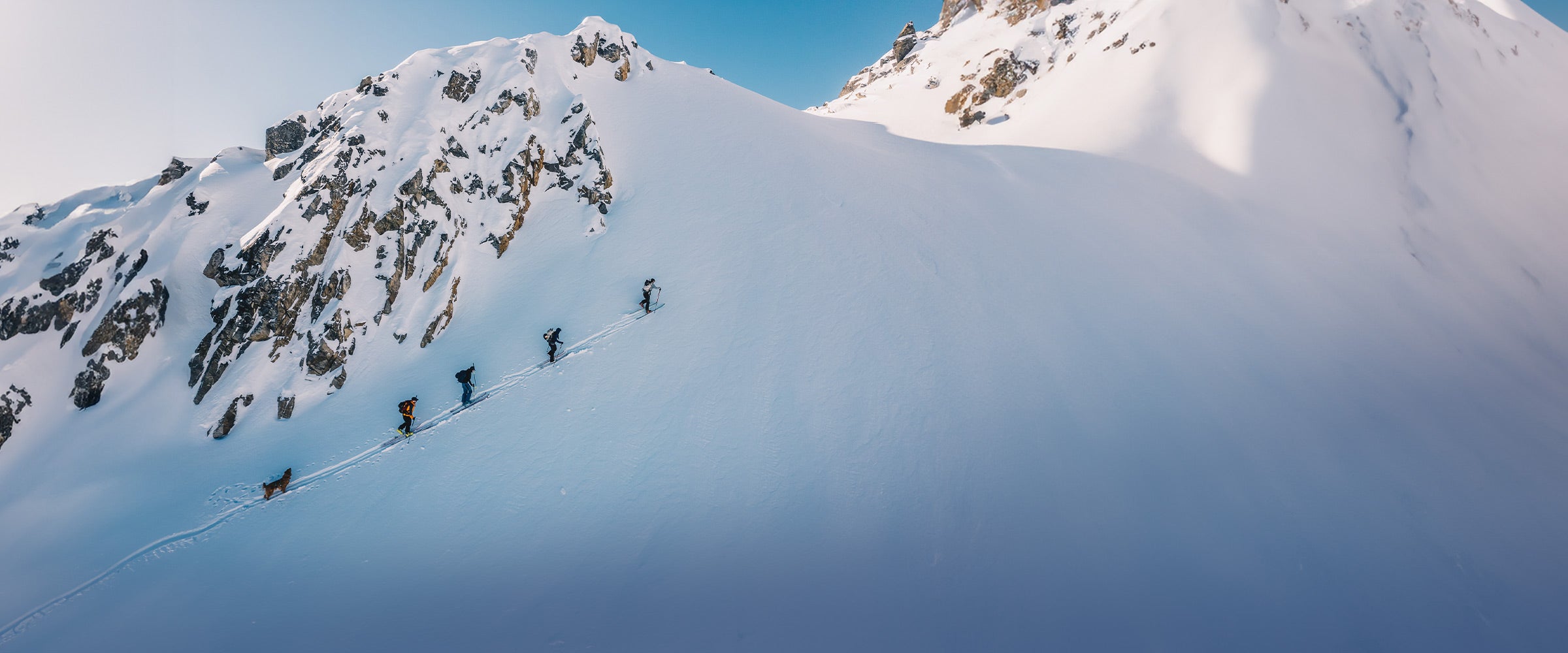 Group of skiers hiking with their golden retriever following the group in Yukon