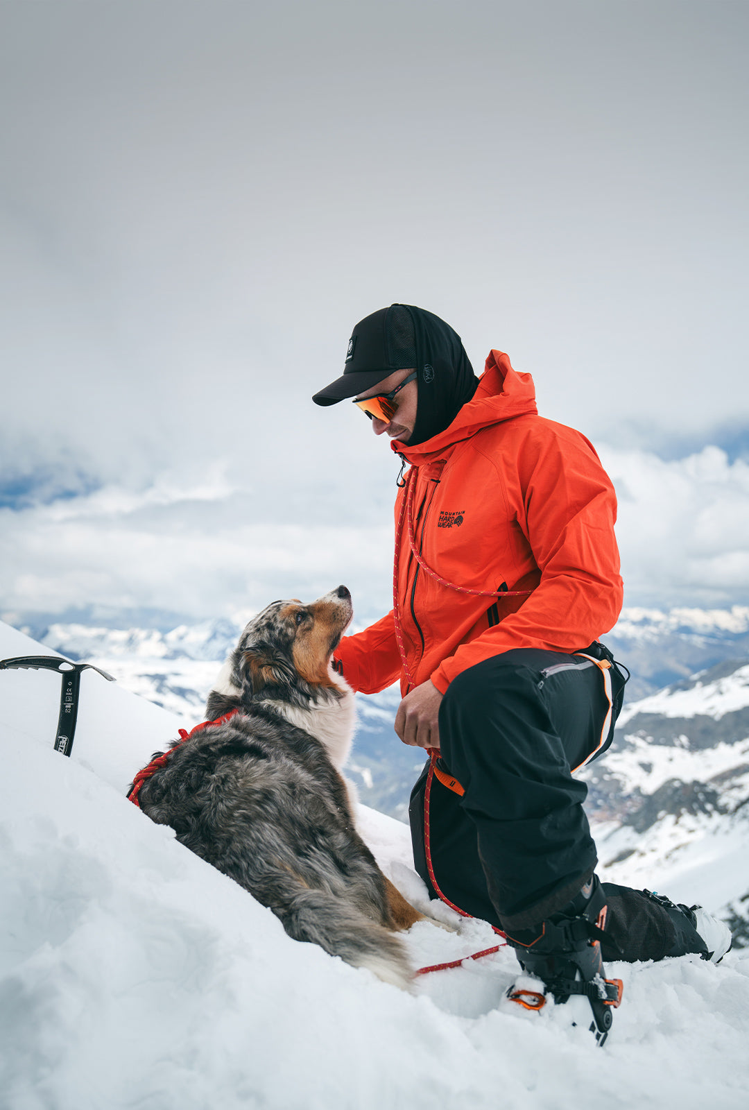 Mountaineer with his dog in the Alps. His dog is wearing the Lander harness in Alpine Orange