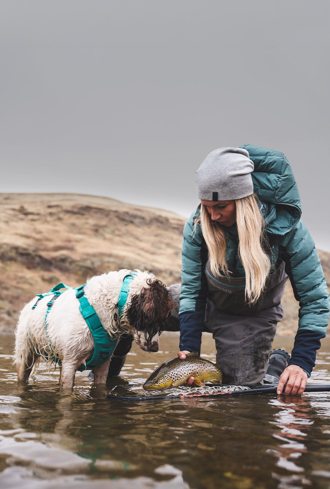 Woman catching a trout with her dog next to her. Her dog is wearing the Saker Muse harness in skeena teal