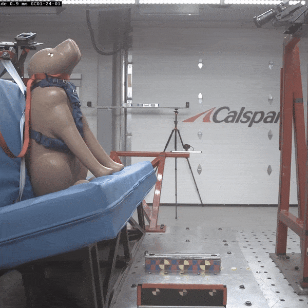 dog mannequin in crash-test with the Canyon pro 