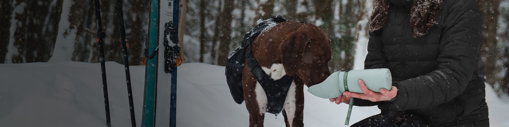 Close view of dog mom giving water to her dog with the Slurpy Sack 2.0