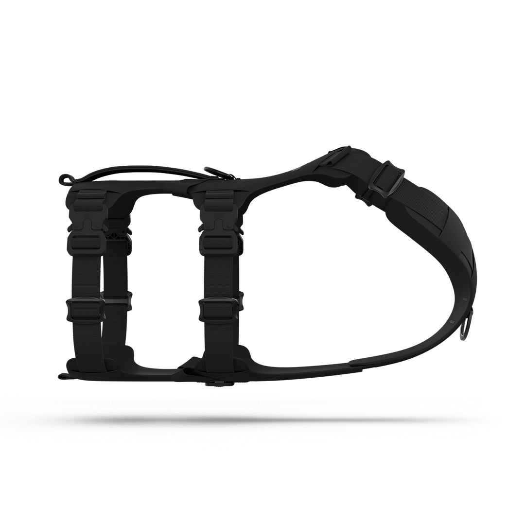 Main view of the Muse™ harness in Black color