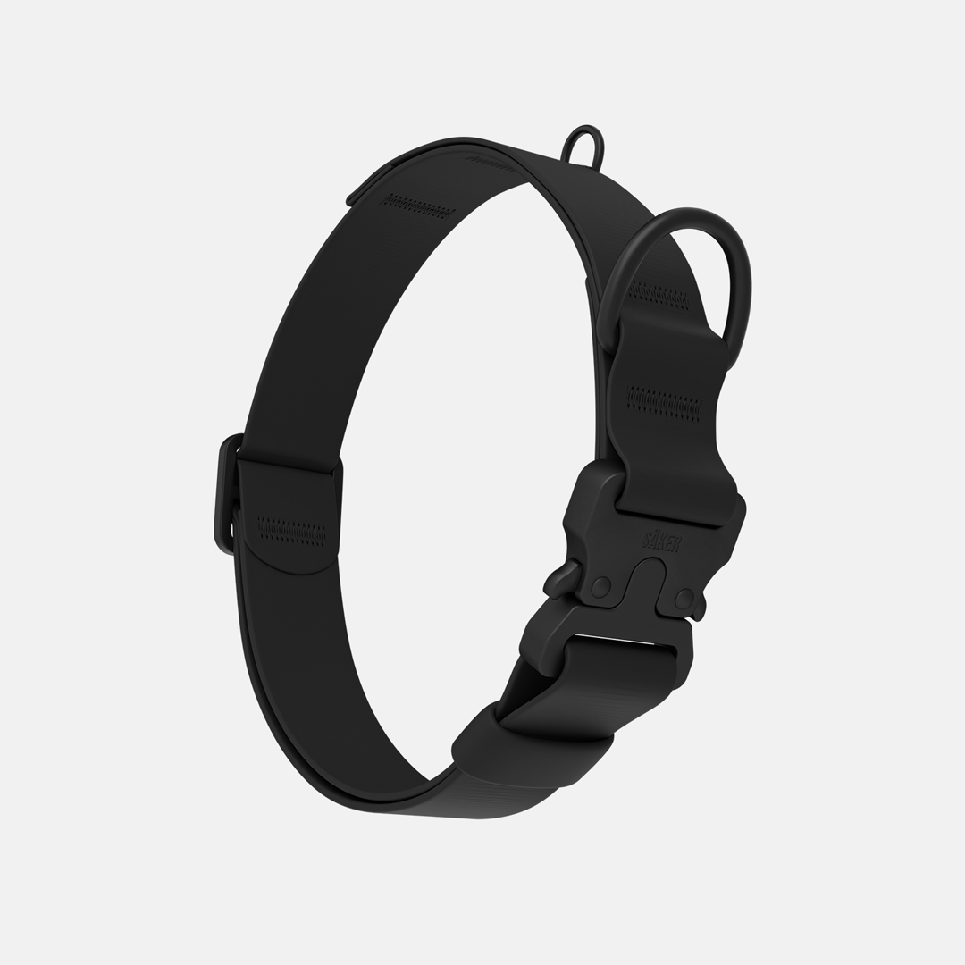 Vertical picture of the new Kelp collar with one slot male buckle in Black
