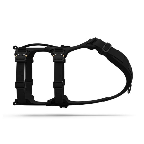 Side view of the Bomber harness in Black