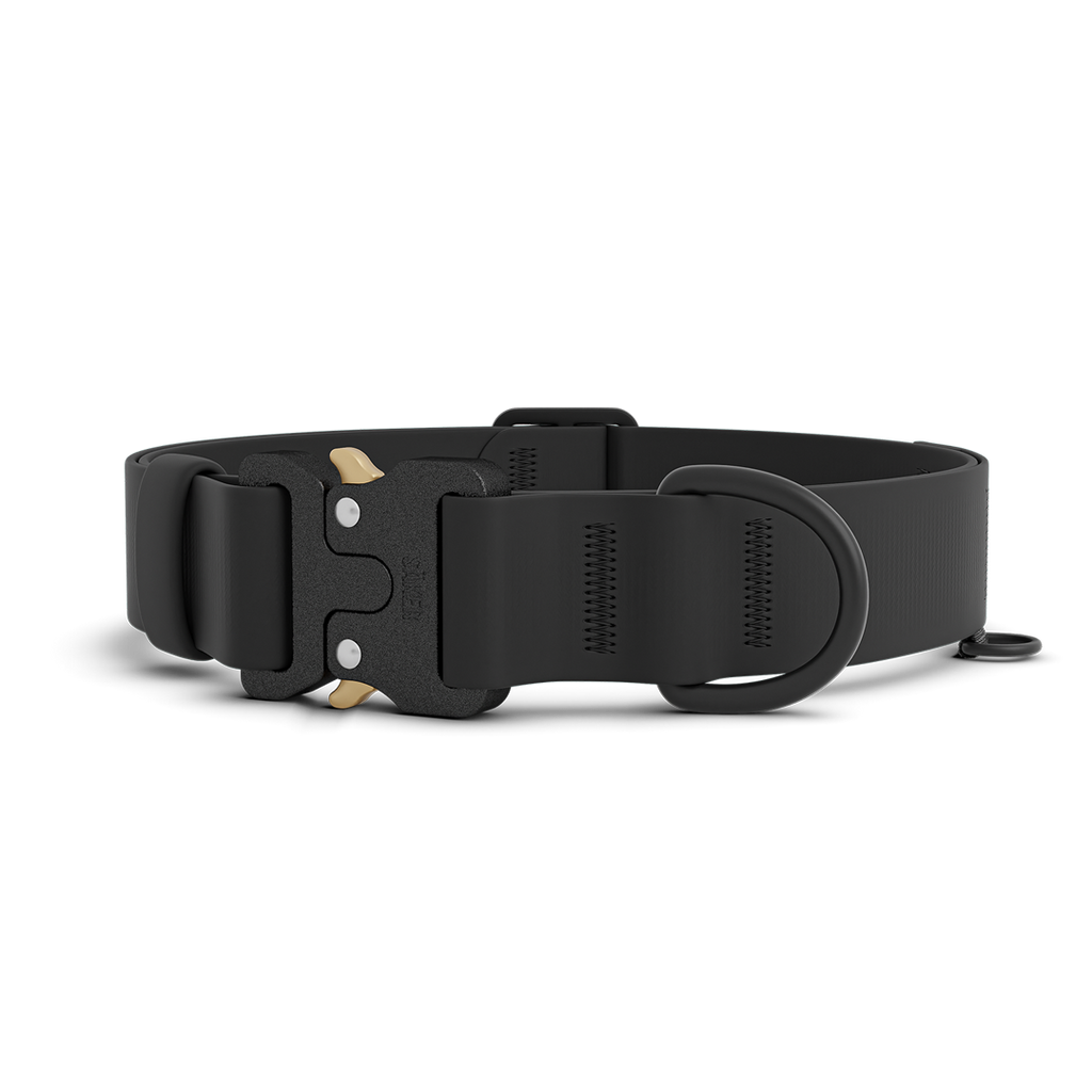 Kelp™ Collar Pro