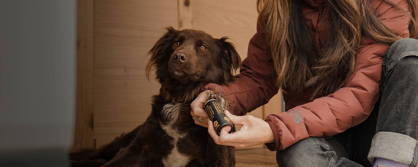 Woman applying saker paw balm to the paws of her dog