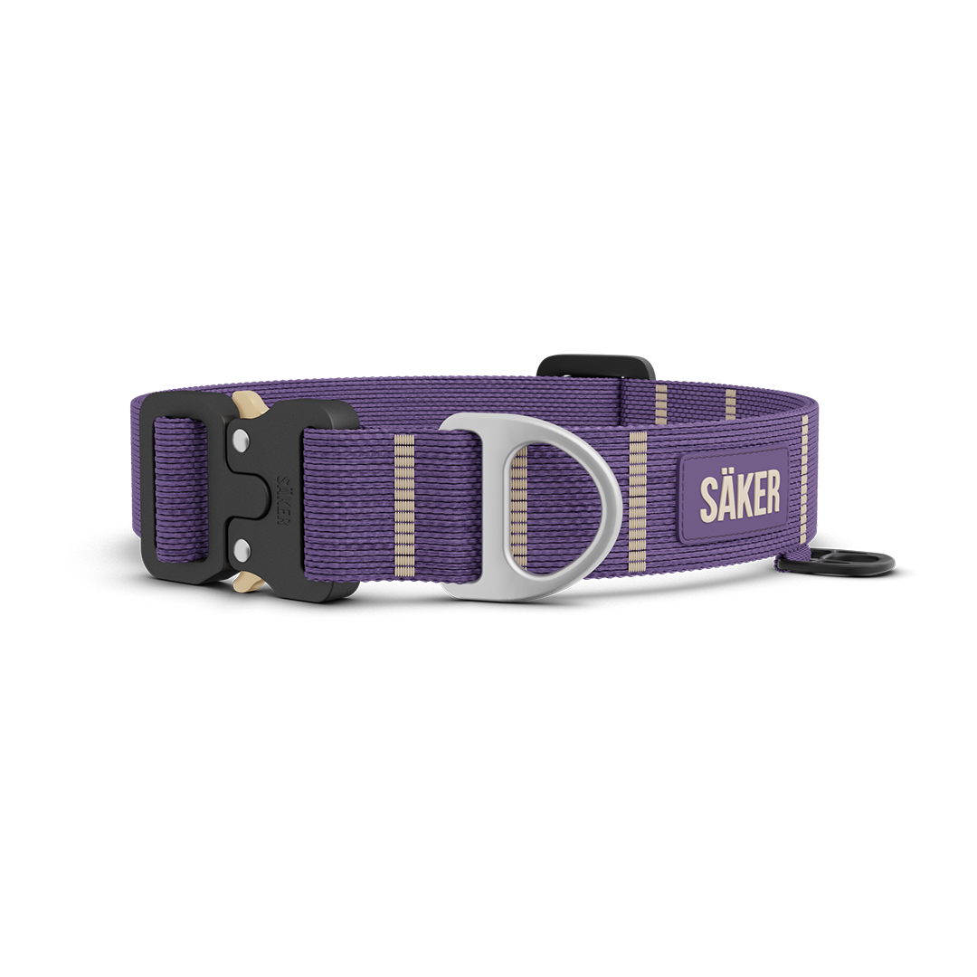 Front view of Canyon Collar in Prairies Purple