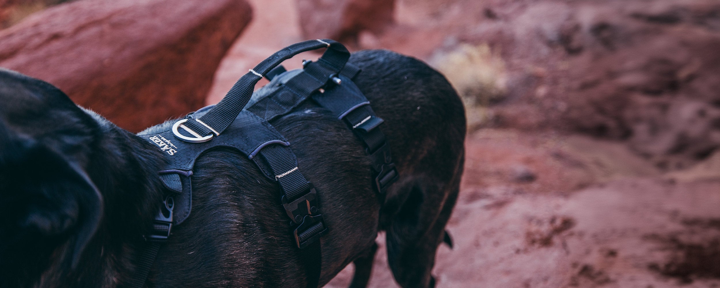 Close view of the back of the Canyon Light extended harness