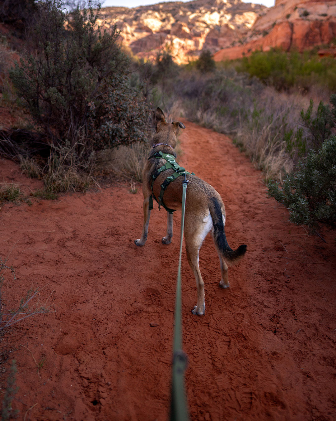 wildlikeivy wearing the Canyon Light Extended harness in Moss Green in red dirt
