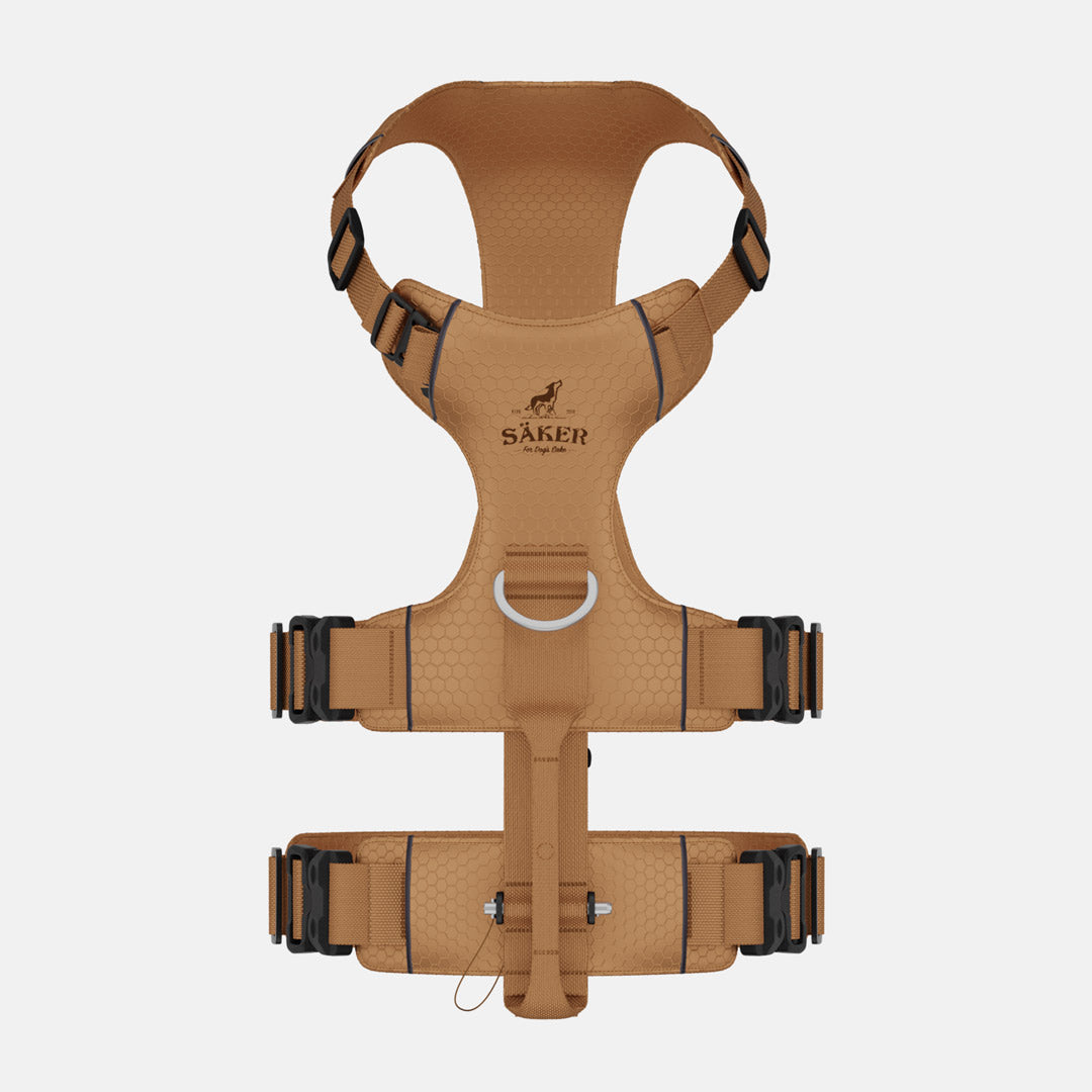 Top view of Canyon Light Extended in Sandstorm Tan, size M