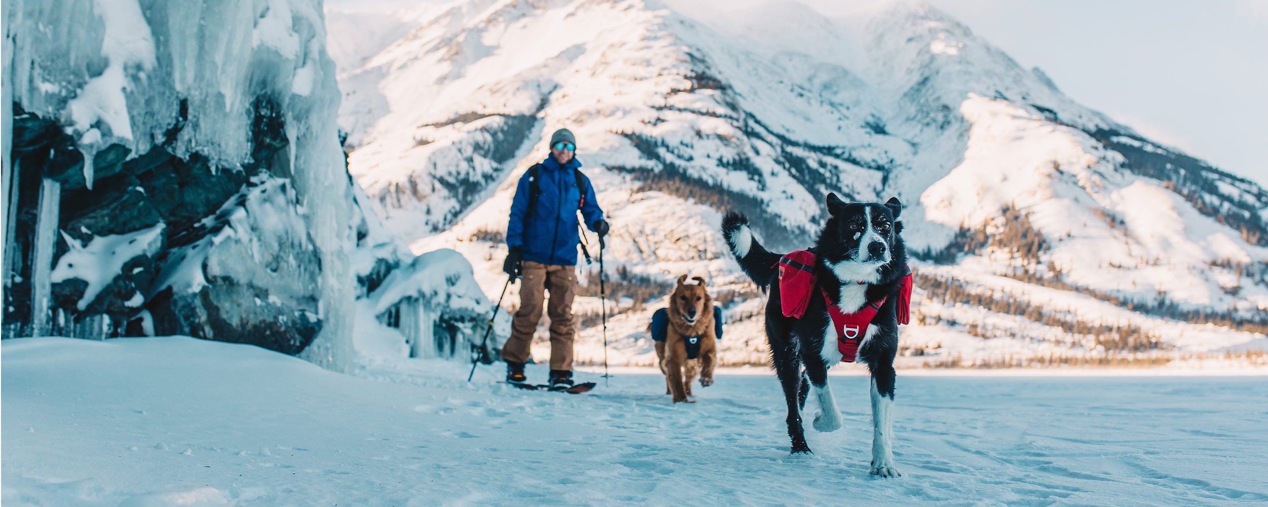 Man touring in yukon with his two dogs wearing the Canyon Light Pack