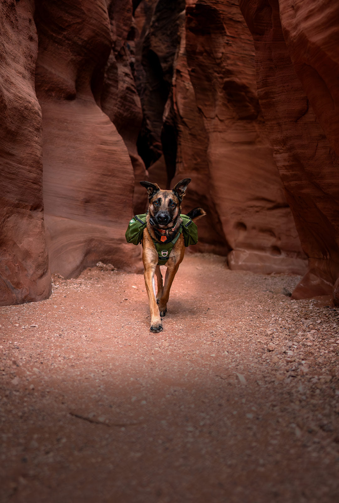 WILDLIKEIVY running in a canyon wearing the Canyon Light Pack in Moss Green