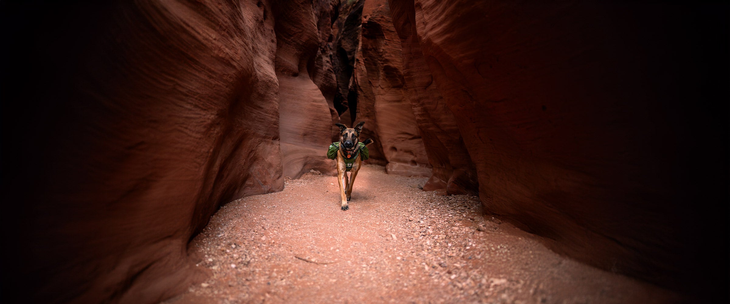 WILDLIKEIVY running in a canyon wearing the Canyon Light Pack in Moss Green