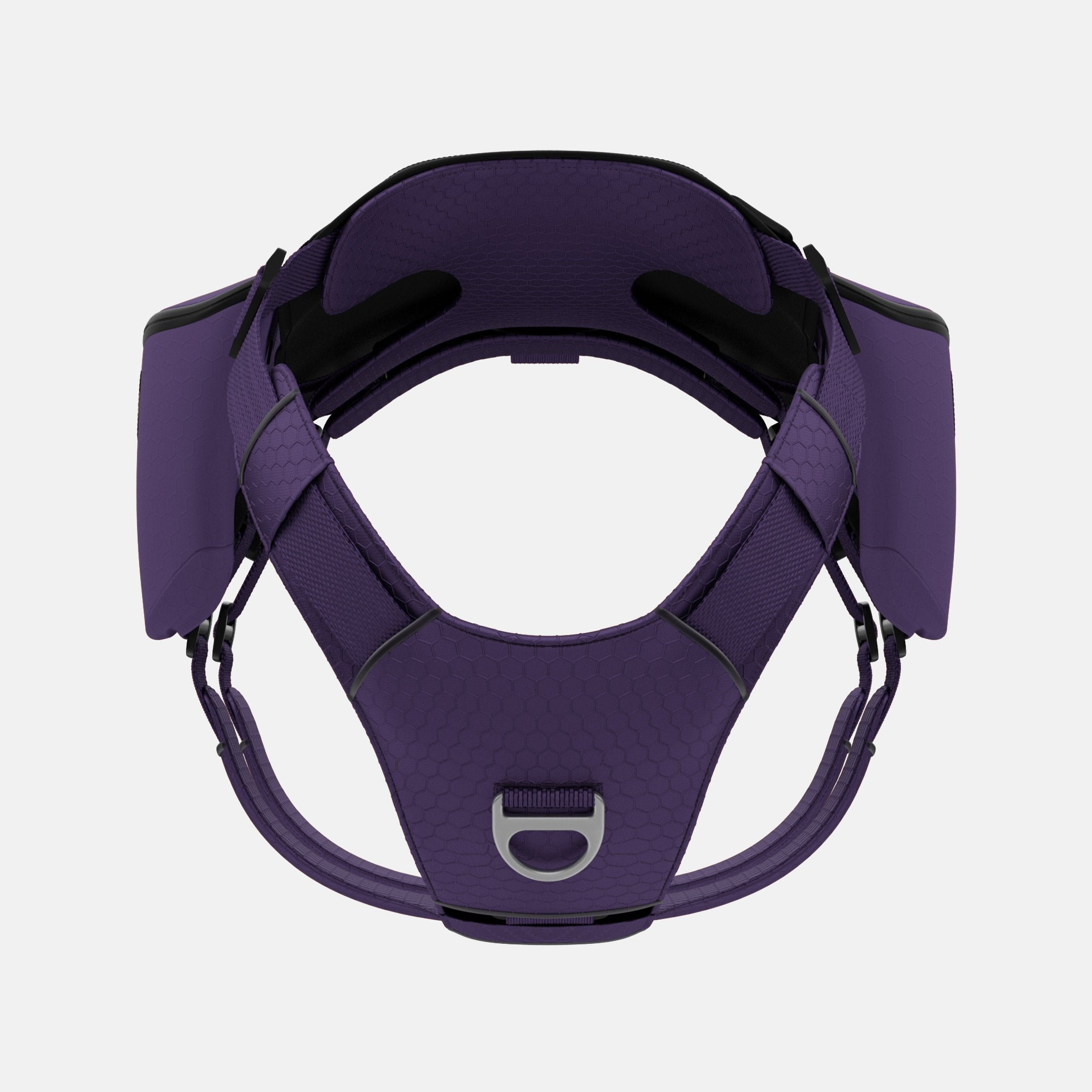 Front view of Canyon Light Pack in Prairies Purple, size M