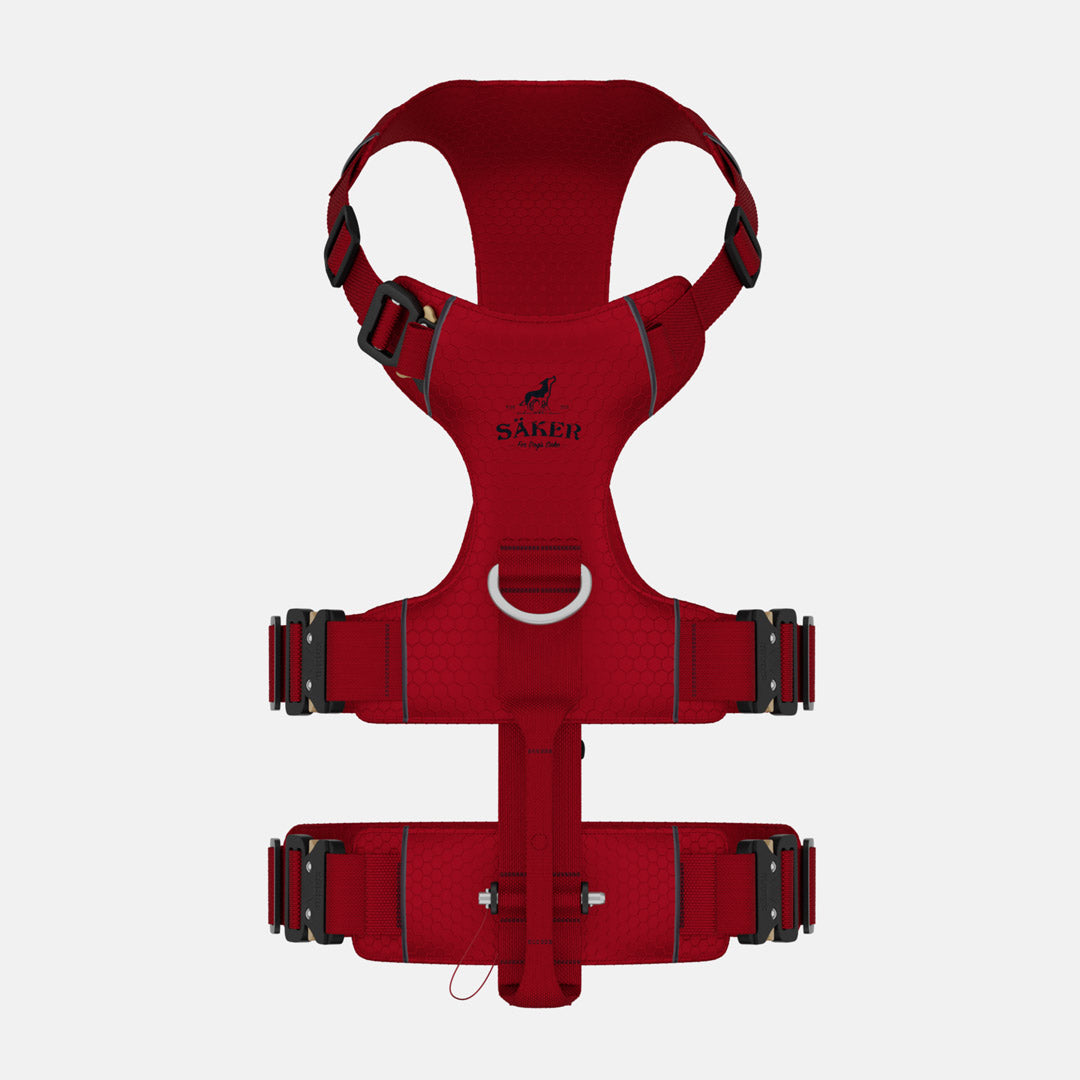 Top view of Canyon Pro Extended in Blazing Red, size M
