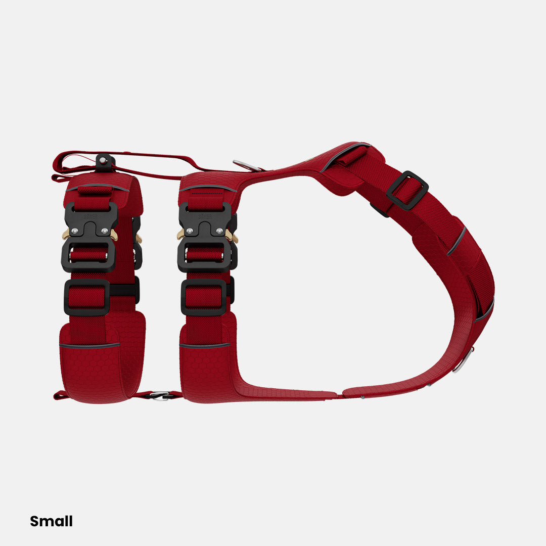 Sideview of Canyon Pro Extended in Blazing Red, size S