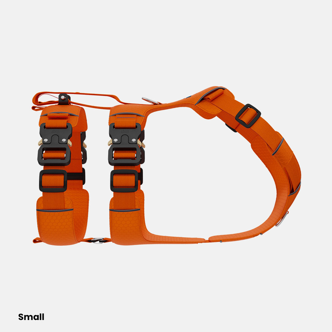 Sideview of Canyon Pro Extended in Orange, size S