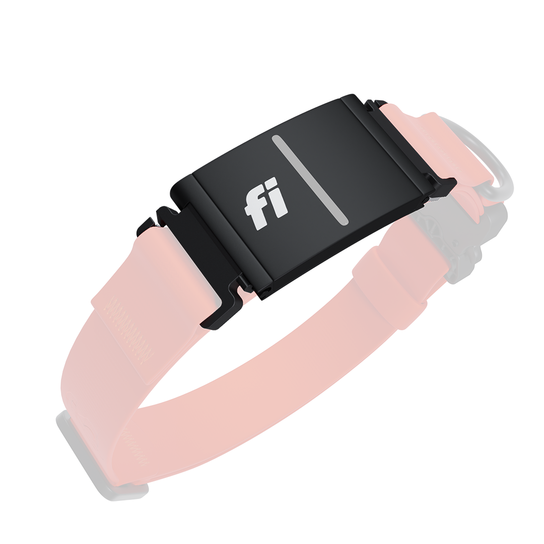 Picture of the Fi tracker mount from Saker on the Kelp collar