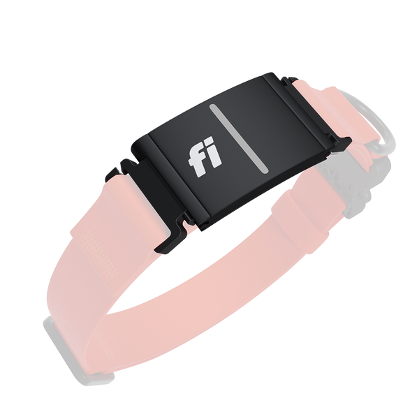 Picture of the Fi tracker mount from Saker on the Kelp collar