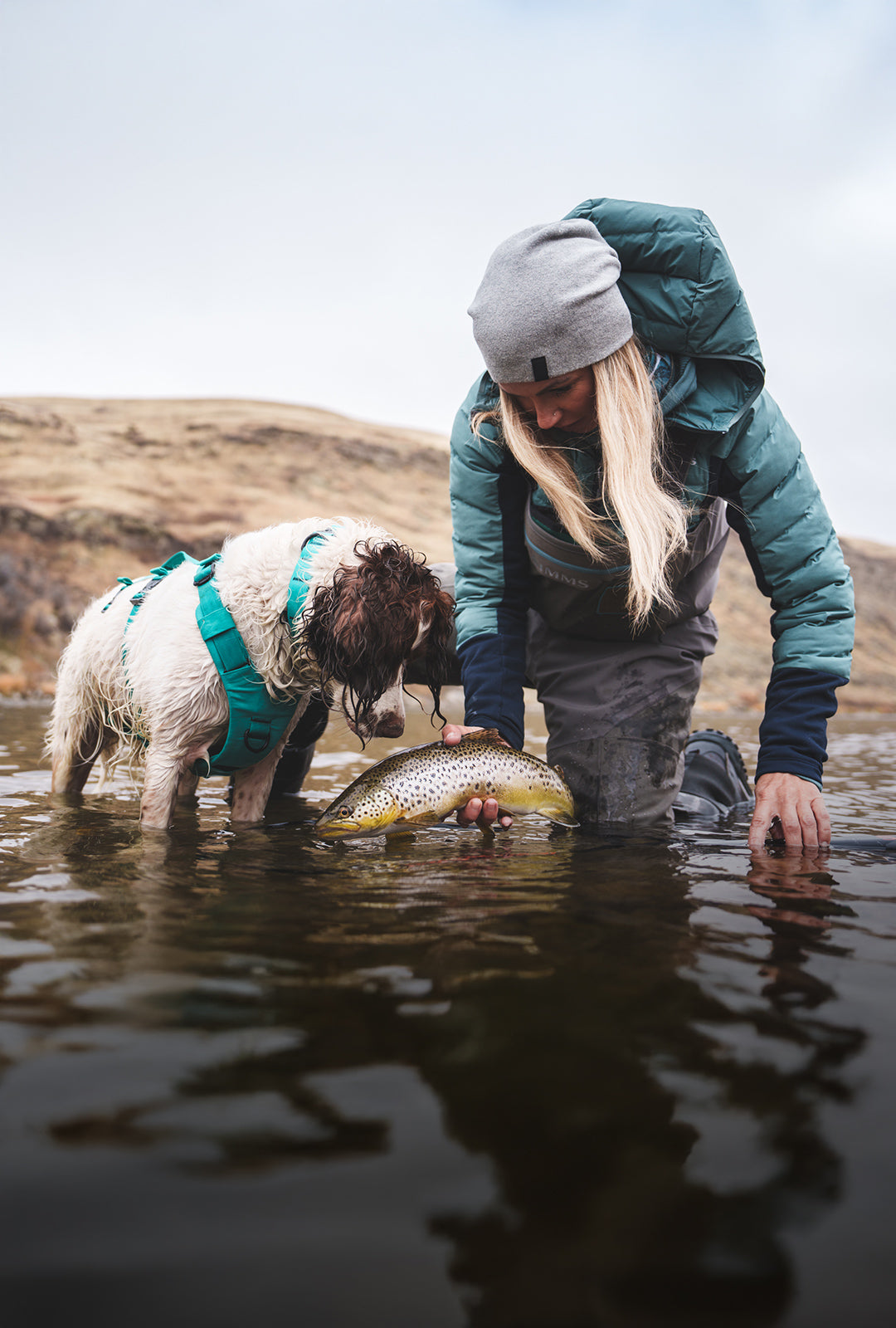 Woman catching a trout with her dog next to her. Her dog is wearing the Saker Muse harness in skeena teal