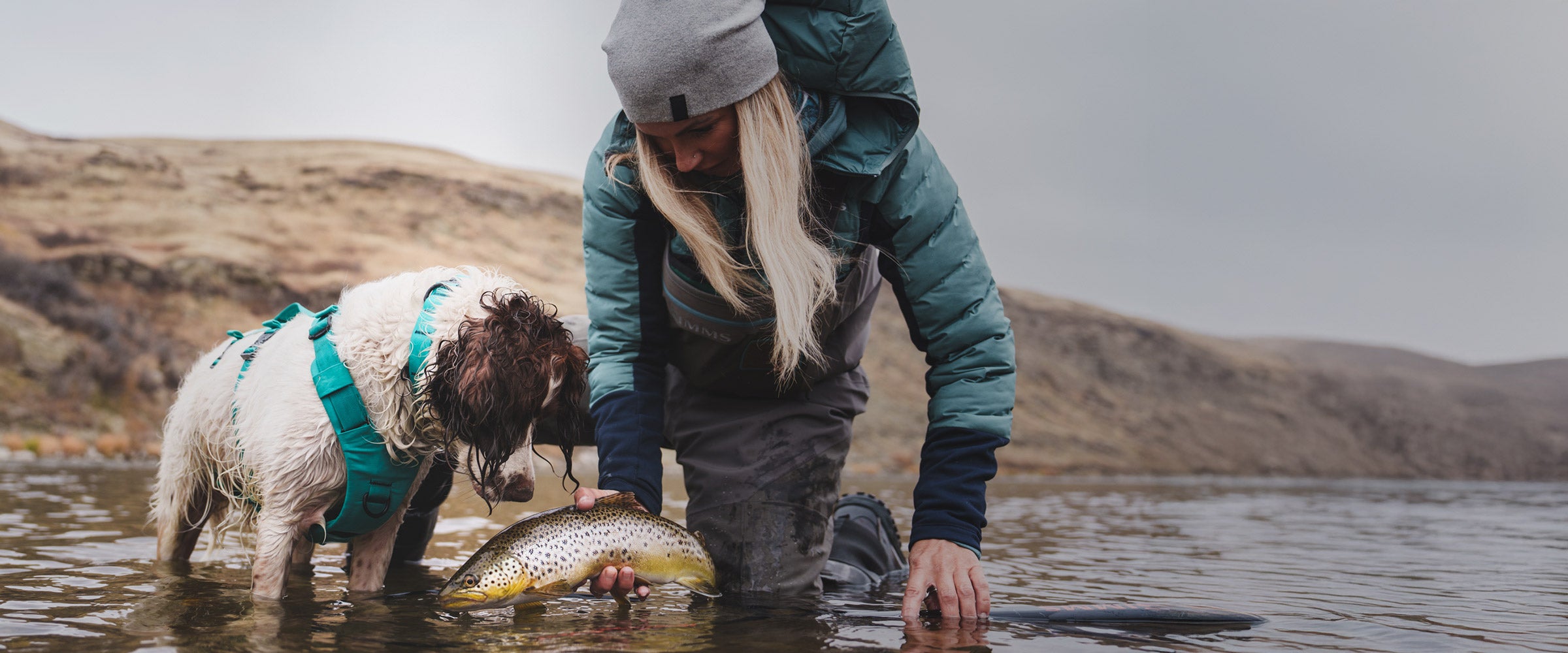 Paula Shearer catching a trout with her dog next to her. Her dog is wearing the Saker Muse harness in skeena teal