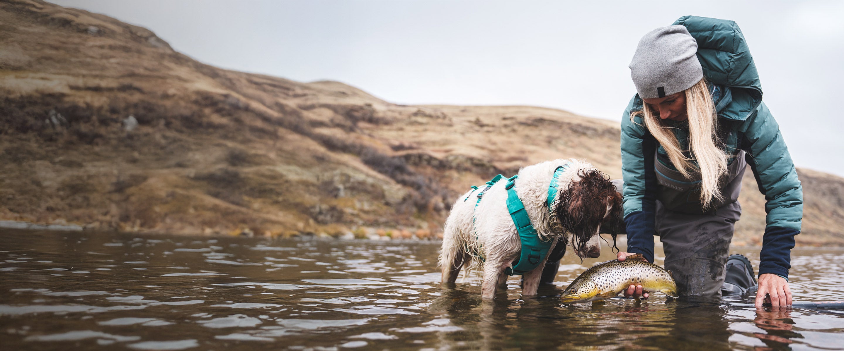 Woman catching a trout with her dog next to her. Her dog is wearing the Saker Muse harness in skeena teal