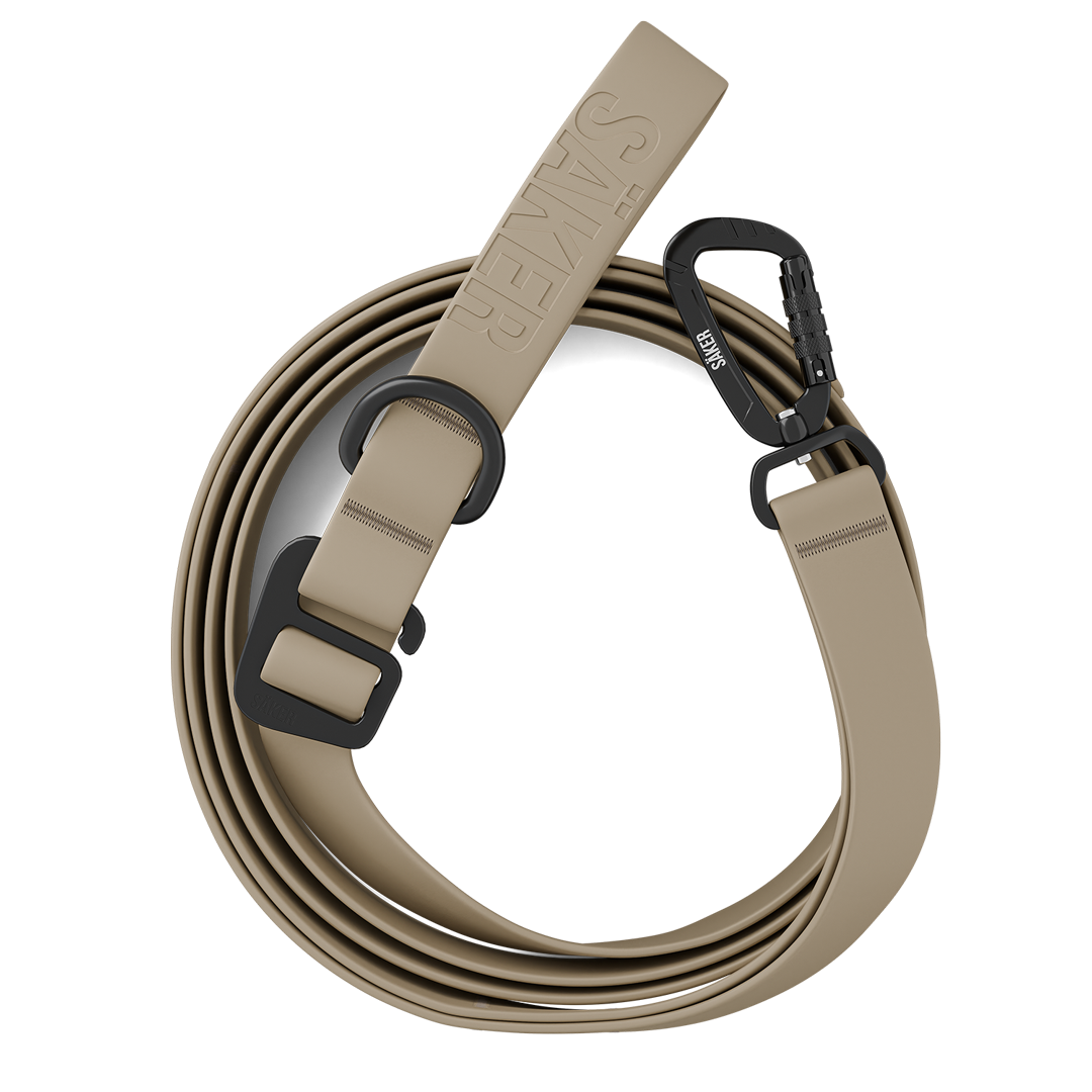 Top view of the Kelp™ leash in Color of the Trails