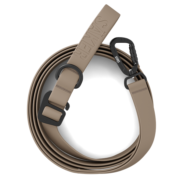 Top view of the Kelp™ leash in Color of the Trails