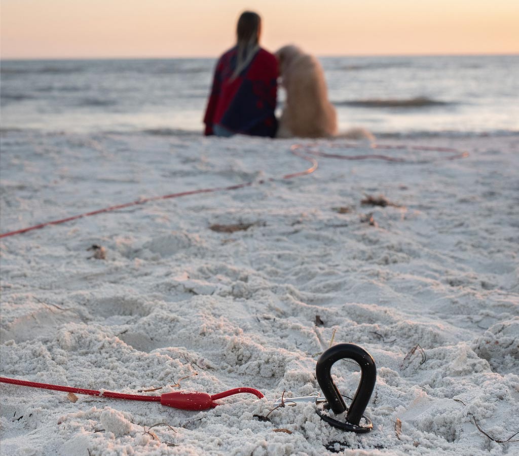 Golden retriever with her owner at a beach in Florida, the dog is tied to the gravity tie out stake from säker installed in the sand