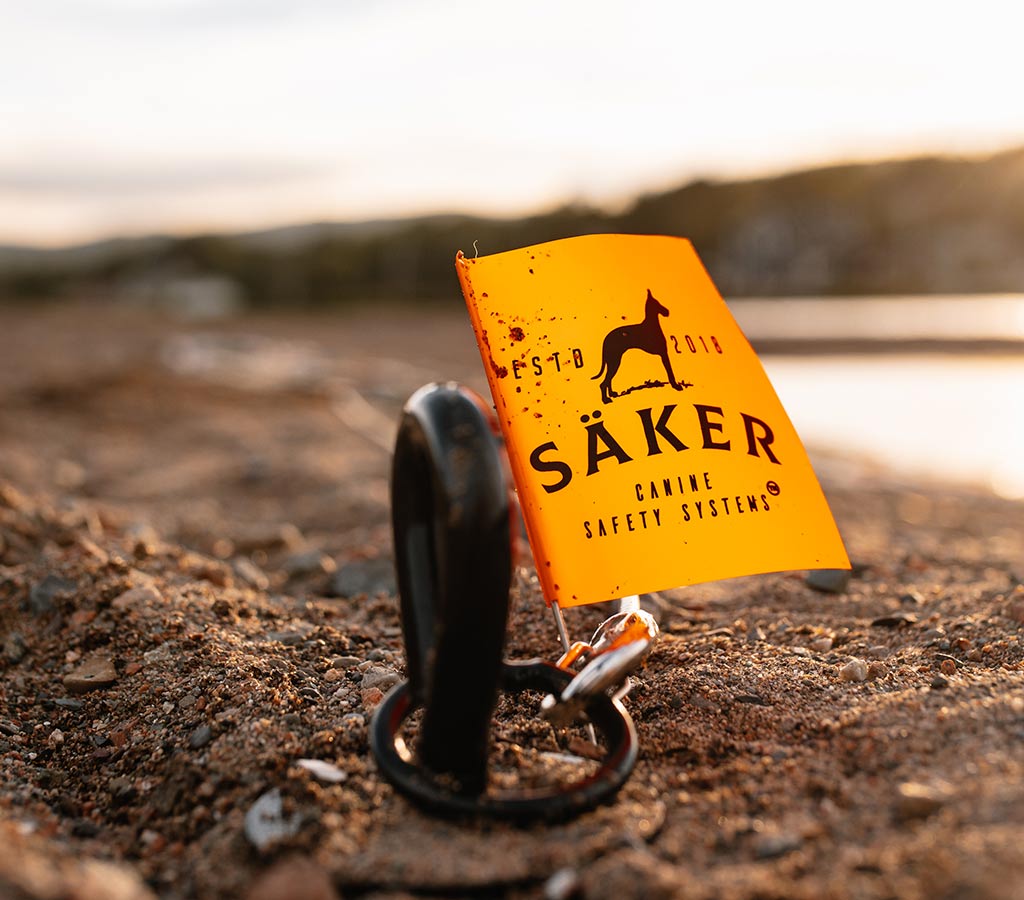 The Säker Gravity Dog Tie out stake at the beach with a bright orange marking flag to spot it when it's not in use