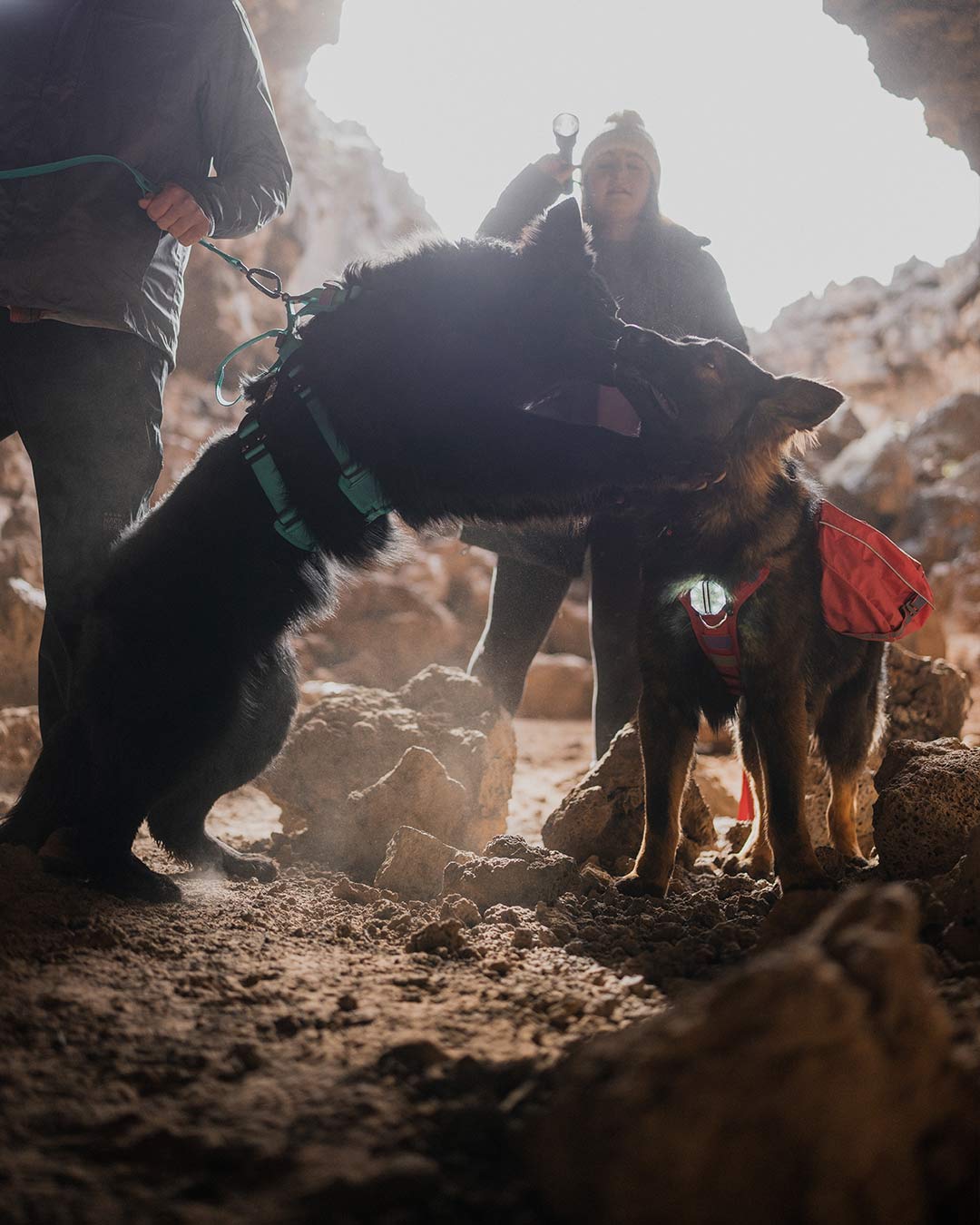 couple exploring lava caves with their two gsd both wearing Saker Ascension harnesses