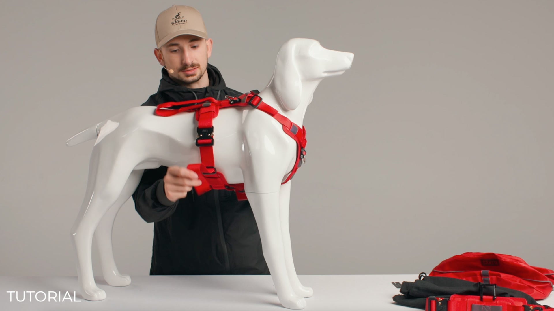man adjusting the M-L core harness ascension on dog