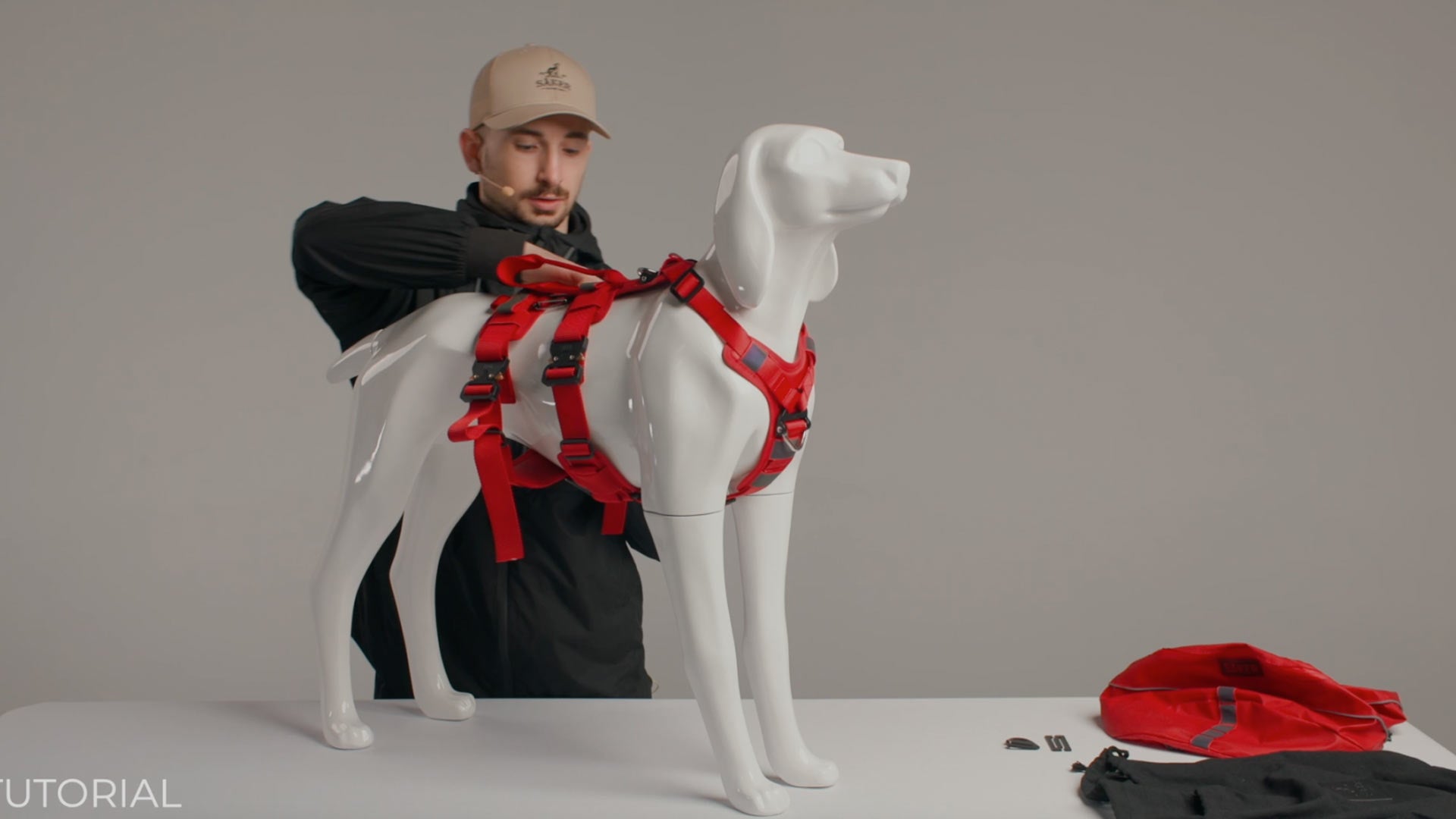 man adjusting the M-L extended harness ascension on dog