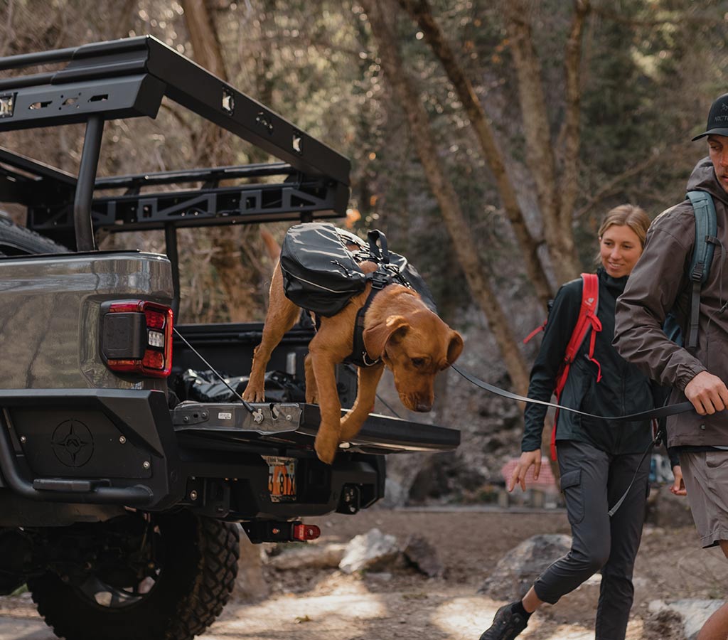 Dog jumping off the trunk of a jeep gladiator while wearing the Ascension dog pack
