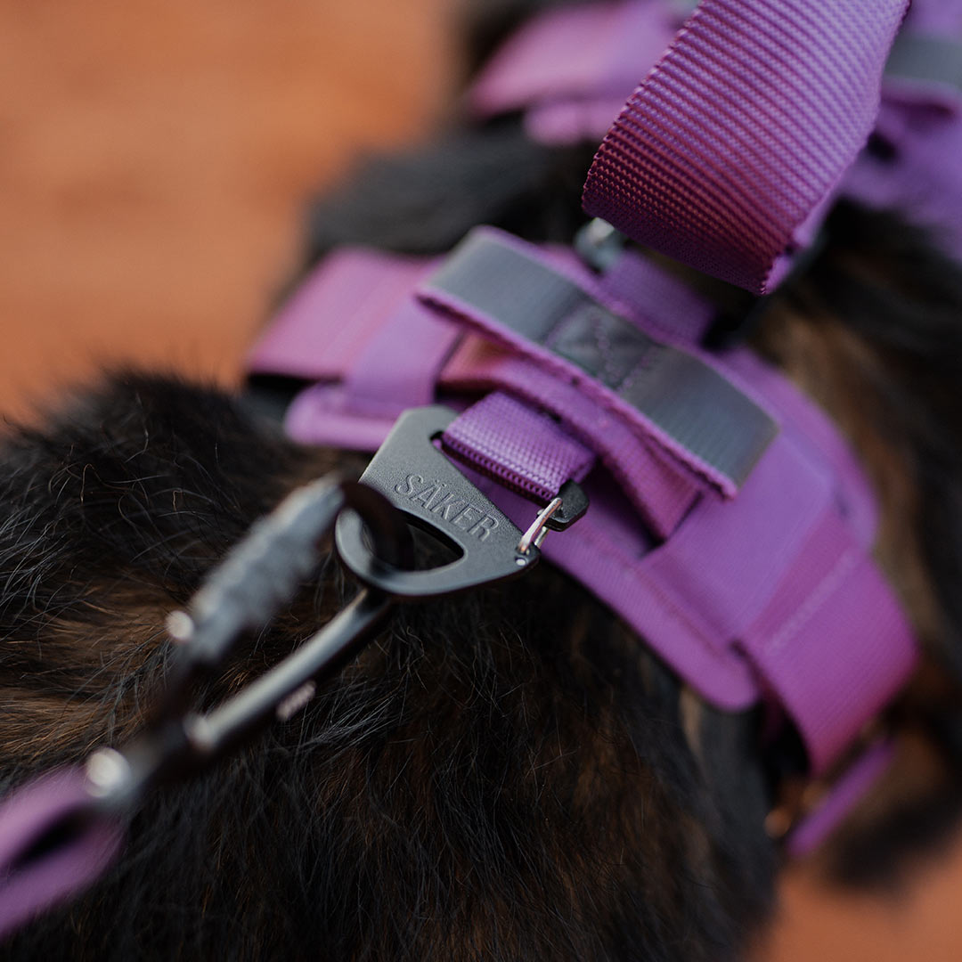 Close view of the hitch clip at the back of an extended harness