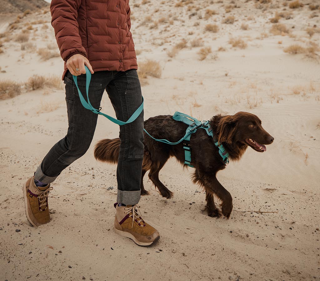 Woman walking her dog in the desert wearing the sentiero dog leash tazer teal and ascension core harness in tazer teal