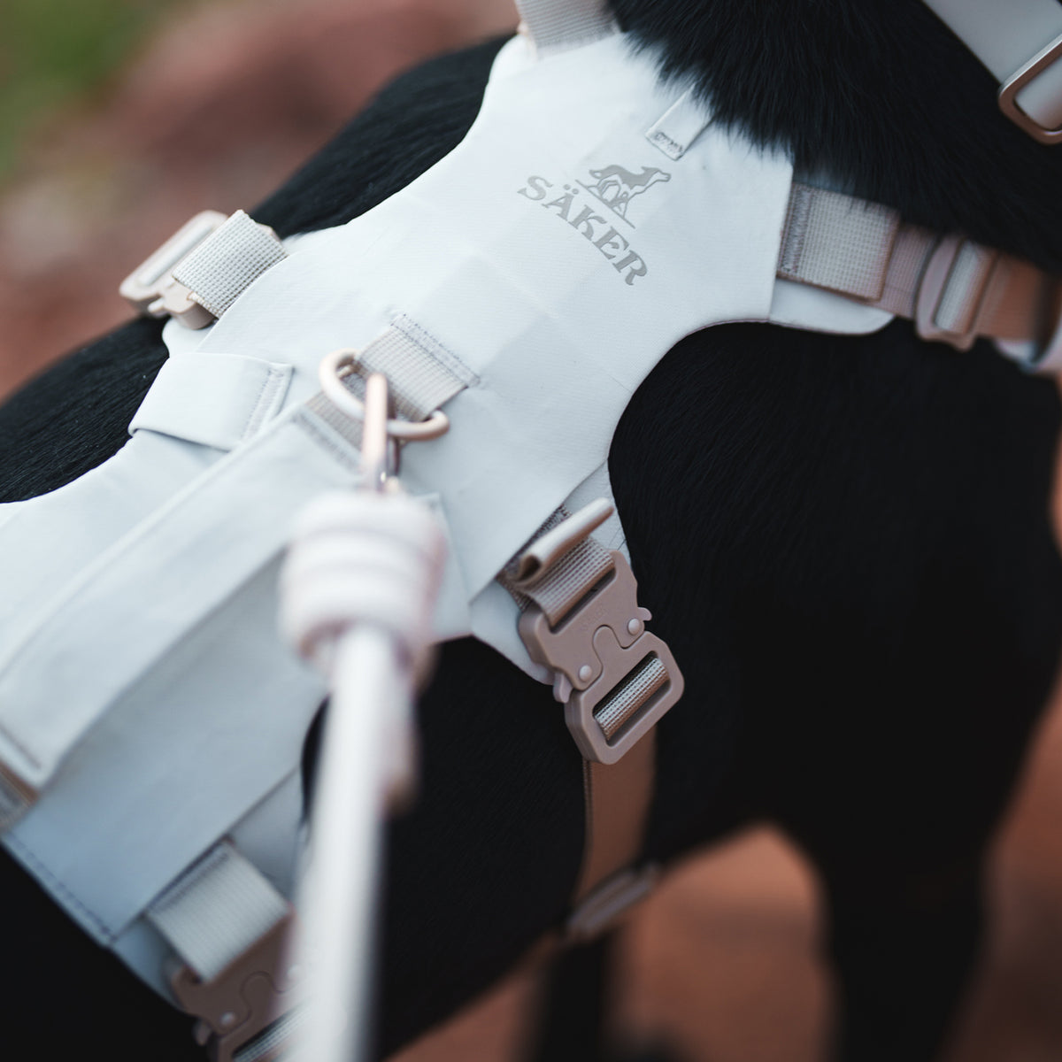 Muse™ harness