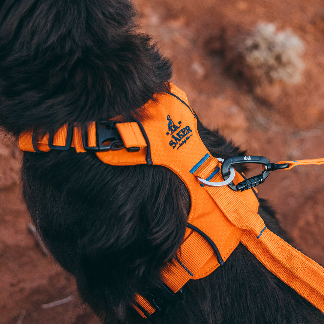 Close view of the original neck buckle on the Canyon Light Series