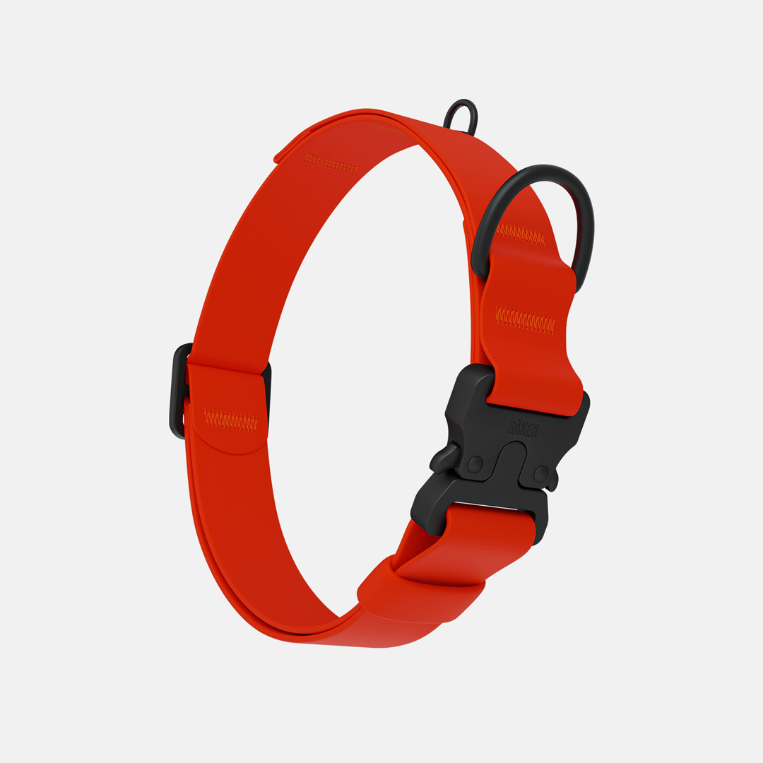 Vertical picture of the new Kelp collar with one slot male buckle in Alpine Orange