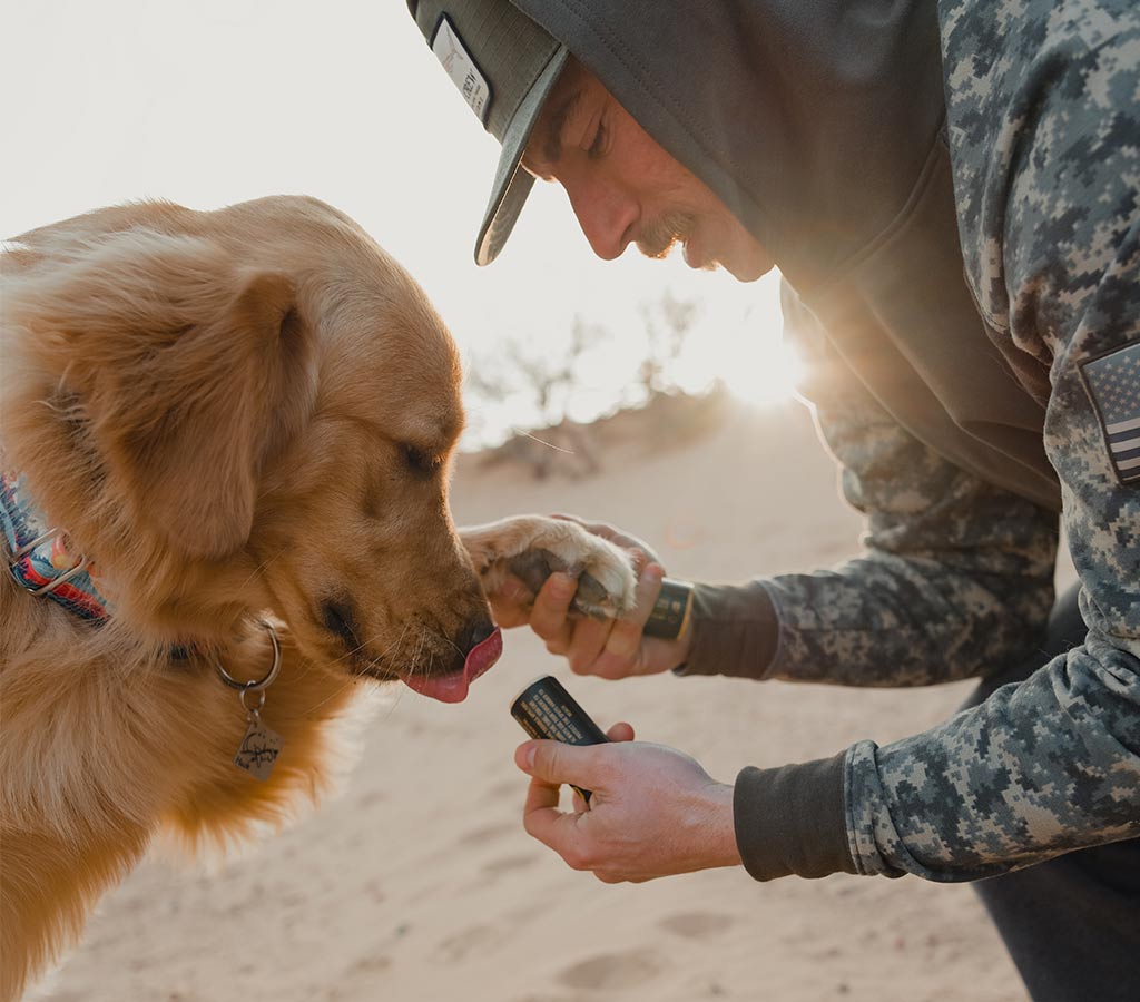 Dog dad applying paw balm to his golden retriever out in the desert at sunrise