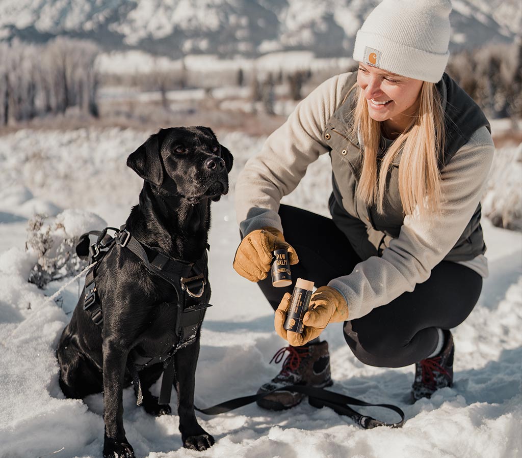 woman applying saker paw balm onto the paws of her black lab to protect against cold snow