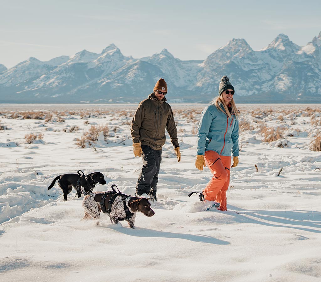 Couple snowshoeing in Wyoming with their gsp dog and black lab both wearing the Ascension Extended Harness