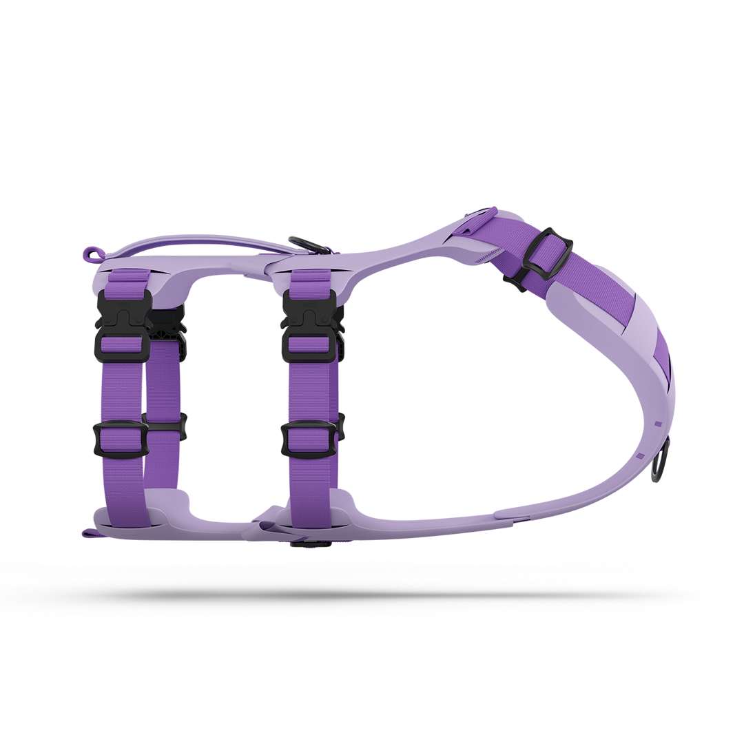 Main view of the Muse™ harness in Lilas color