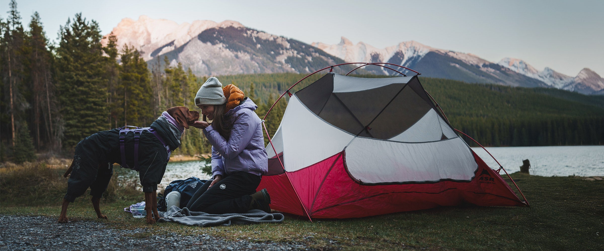 Woman kissing her vizsla next to her tent in Banff. Her dog is wearing the Muse harness in XS.