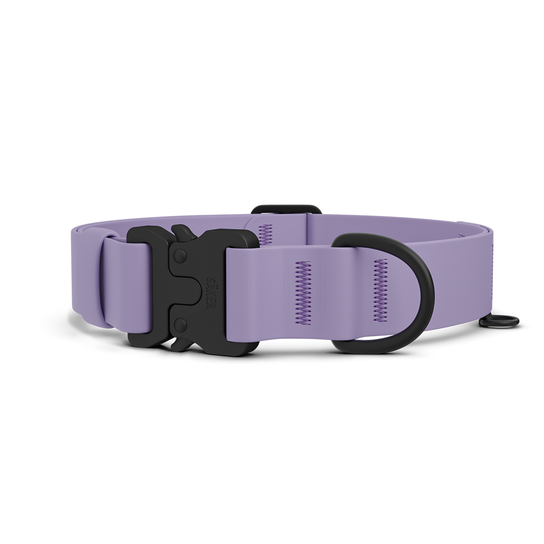Main picture of the new Kelp collar with one slot male buckle in Lilas
