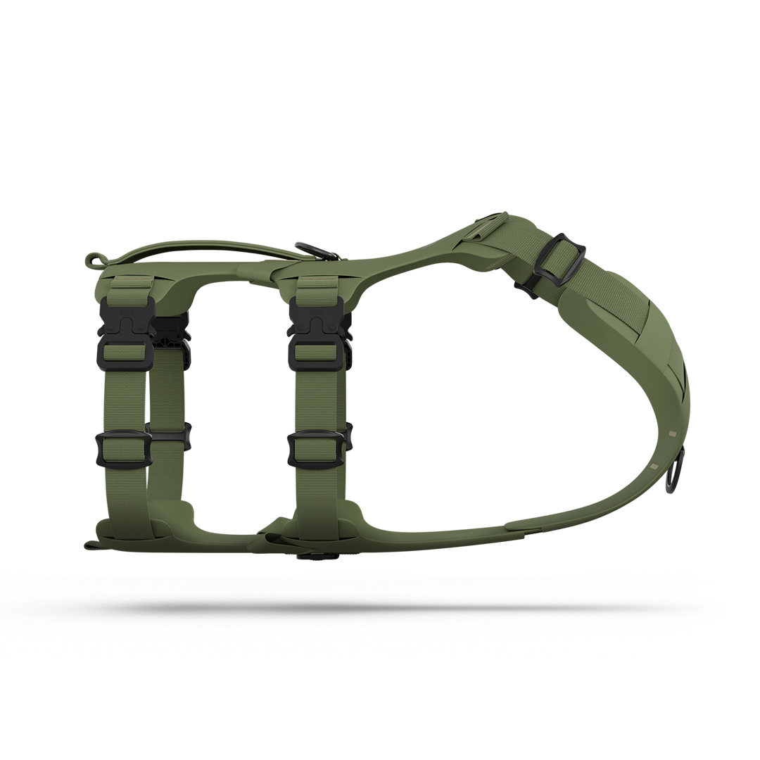 Main view of the Muse™ harness in Trail Green color