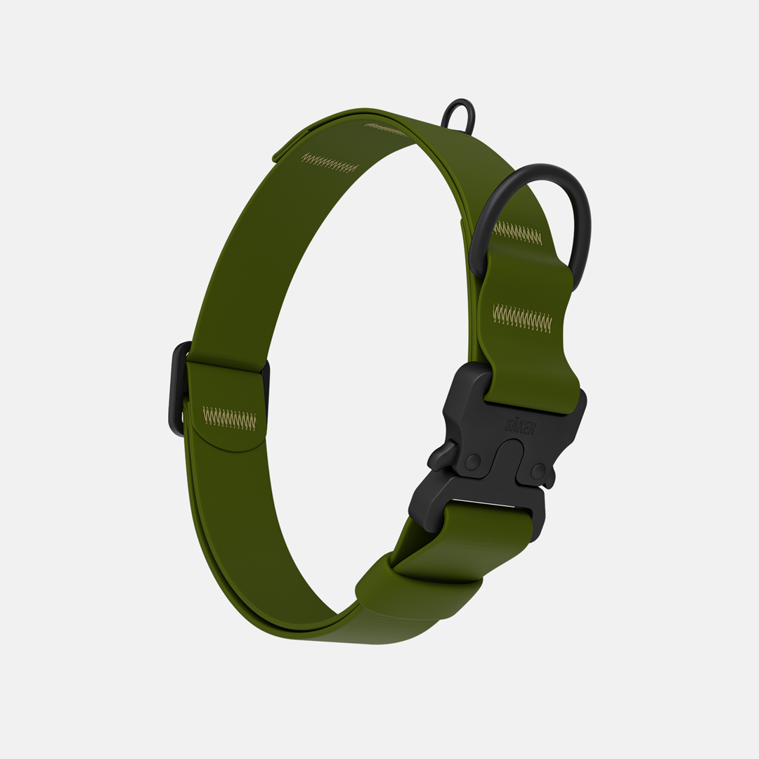 Vertical picture of the new Kelp collar with one slot male buckle in Trail Green