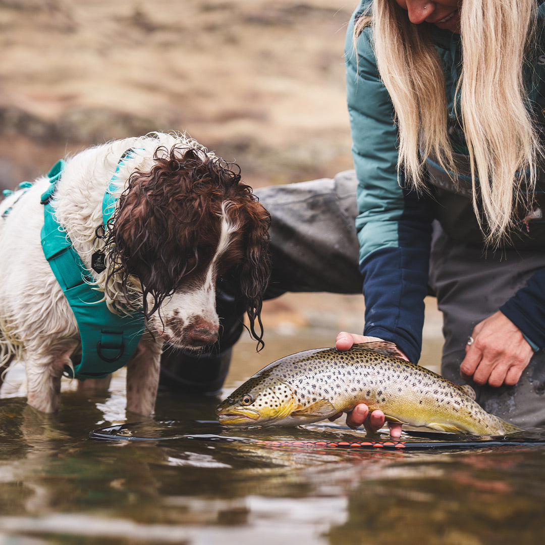 Paula Shearer holding her catch on the Bow River next to her dog Willow, wearing the Säker Muse harness in Teal