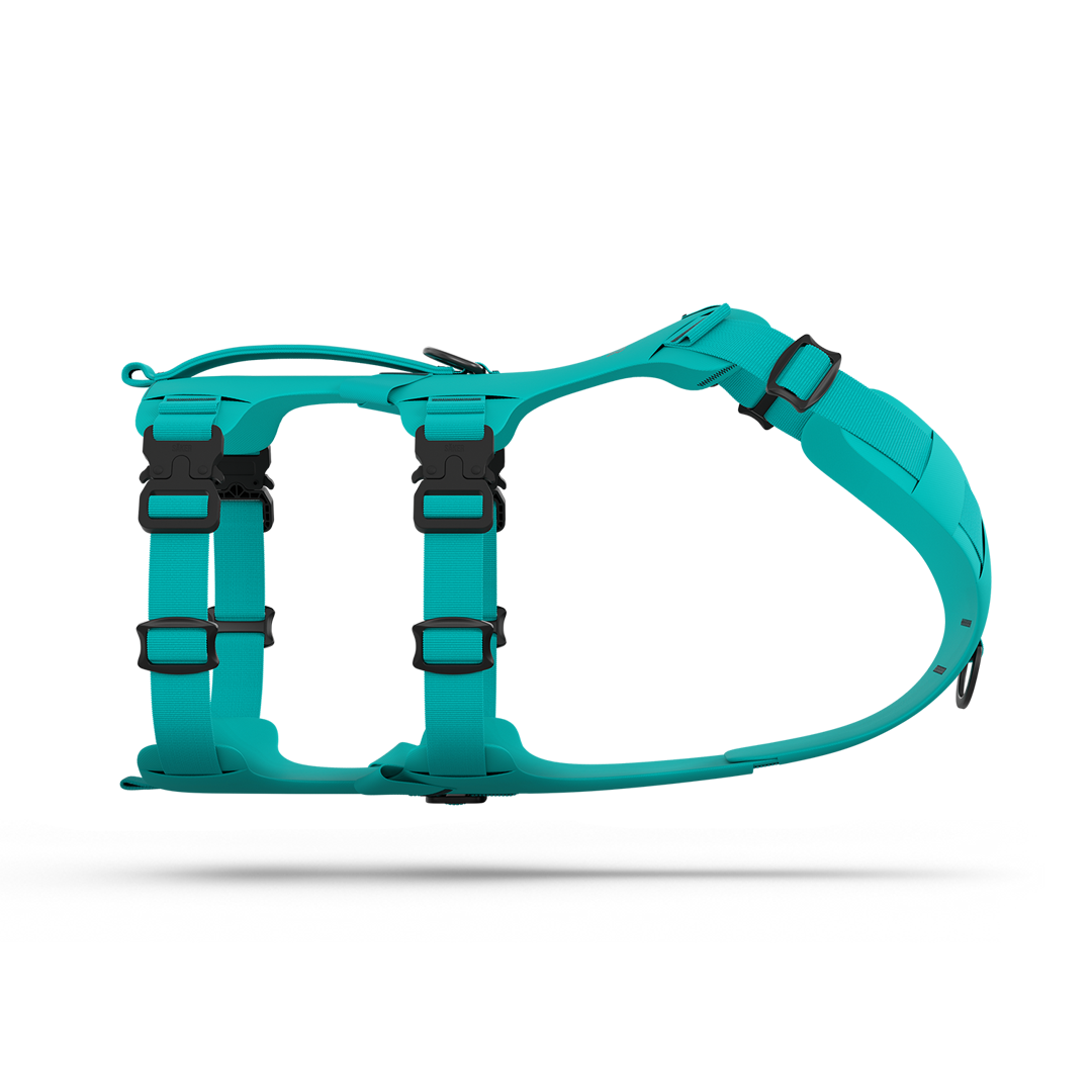 Main view of the Muse™ harness in Skeena Teal color