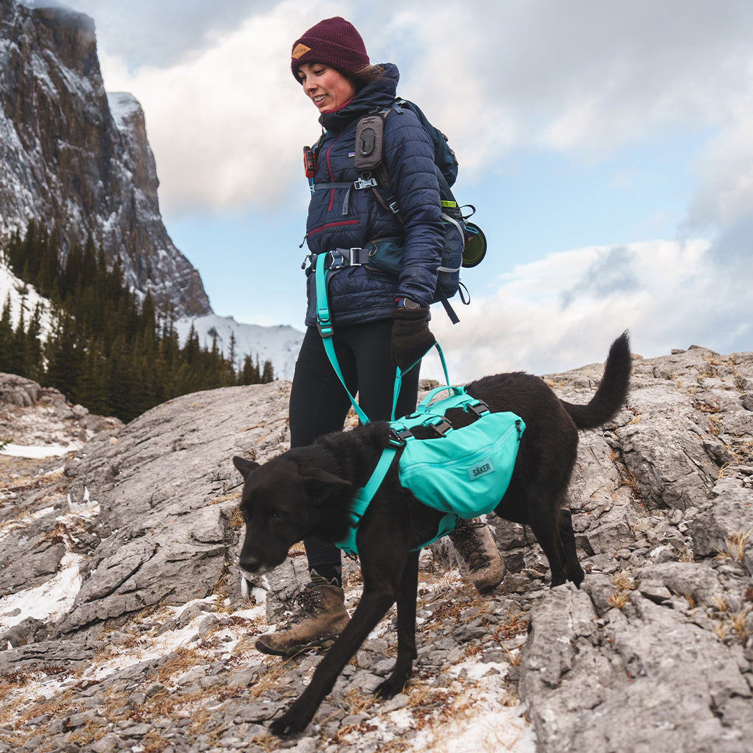 Woman holding the kelp leash by the traffic handle in Banff on a hike